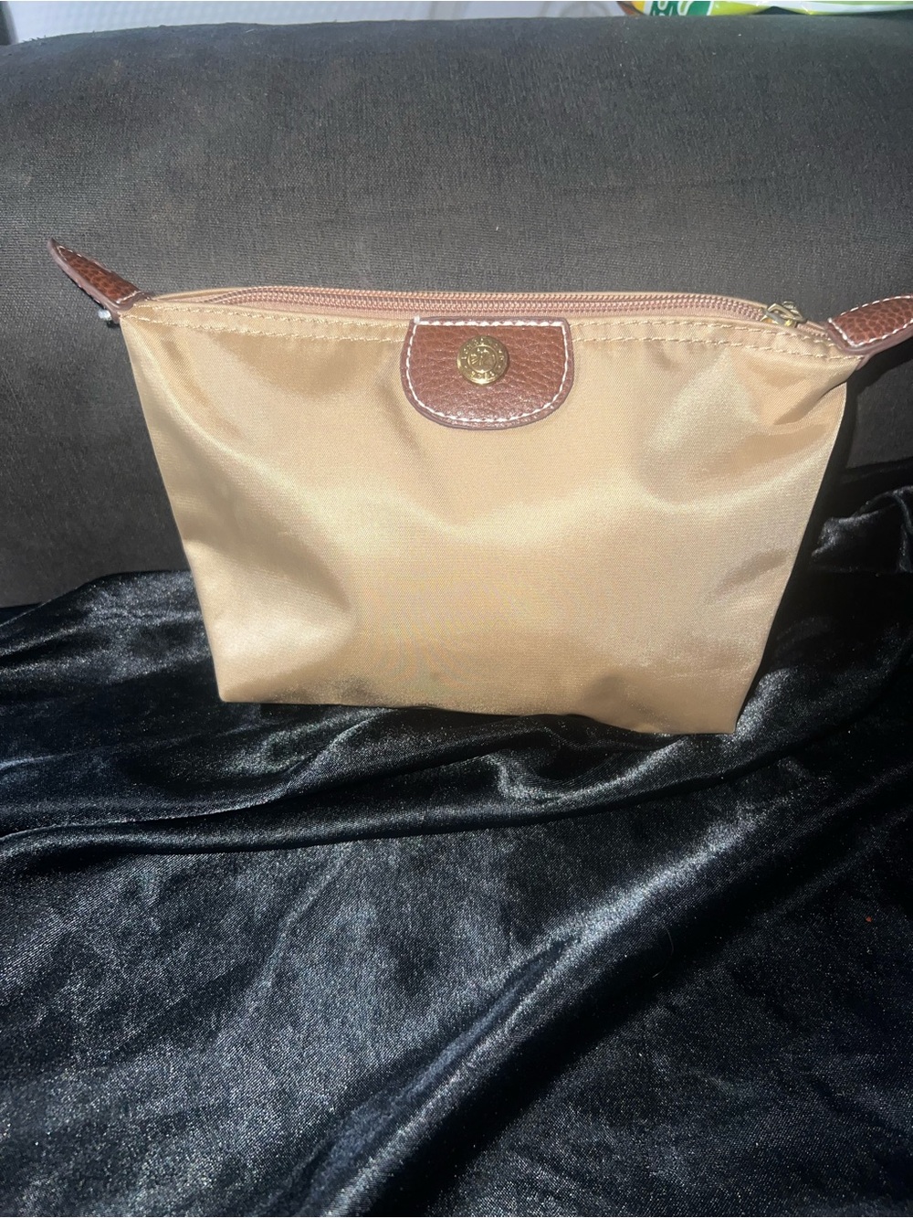 Longchamp pouch